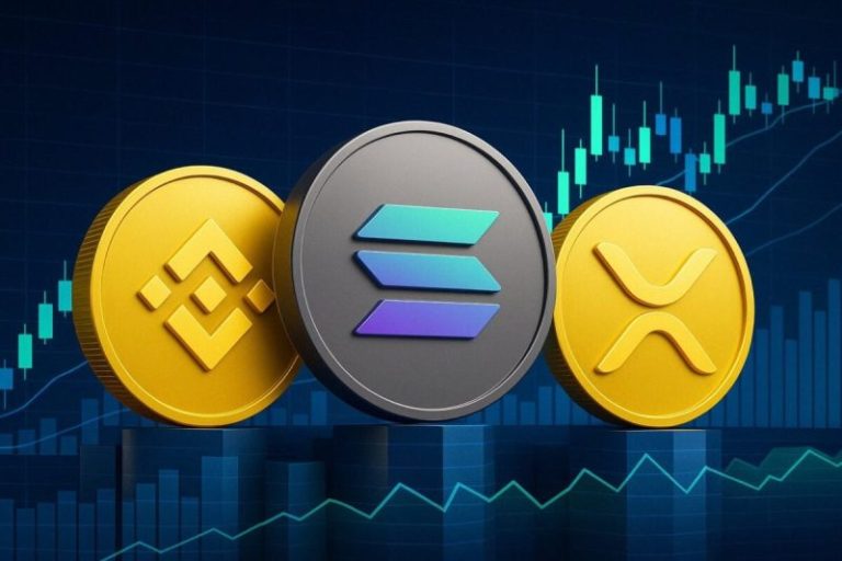 BNB Price Surge Leads Crypto Gains as Bitcoin Climbs